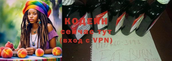 крисы Осташков