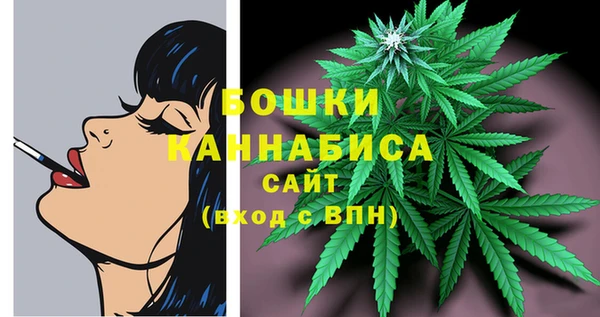 МДПВ Нягань