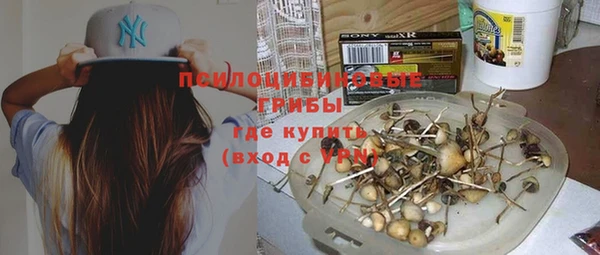 крисы Осташков