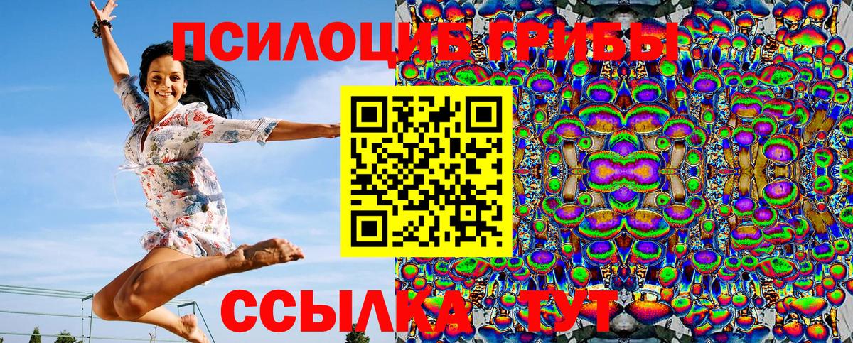 дарнет шоп  Псилоцибиновые грибы Psilocybine cubensis  Вход с VPN  Россошь 