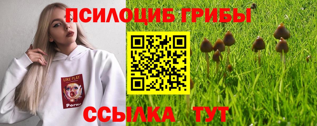 Псилоцибиновые грибы прущие грибы Россошь